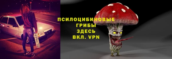 эйфоретик Алзамай