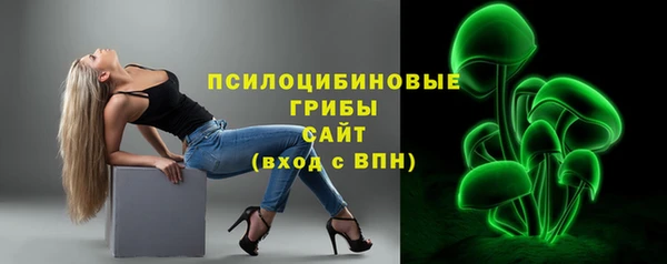 эйфоретик Алзамай