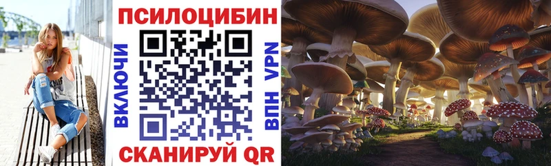 Галлюциногенные грибы мицелий mega ССЫЛКА Бокситогорск