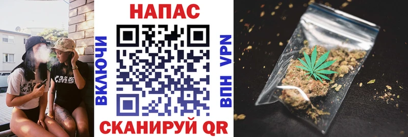 где купить наркоту Бокситогорск Конопля ГИДРОПОН